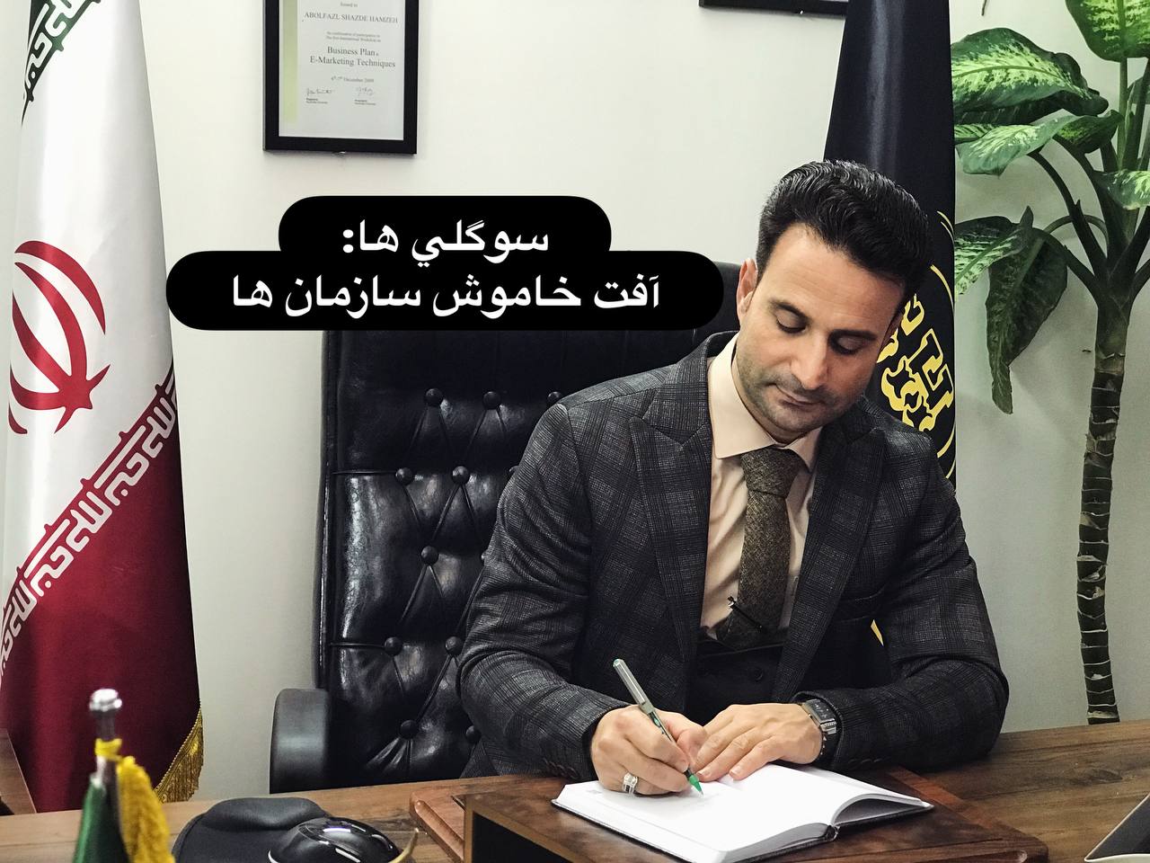 سوگلی ها: آفت خاموش سازمان ها